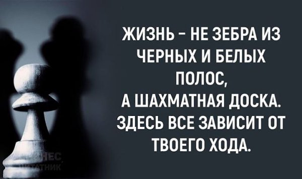 BEST | , ,  - 11  2018  04:01