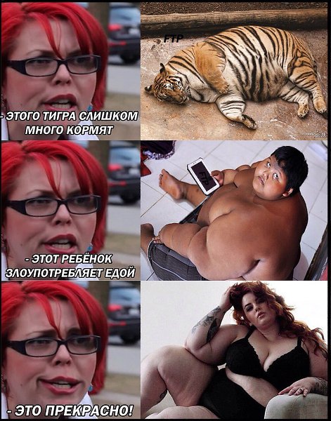   - 20  2018  12:23