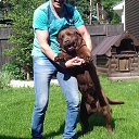 ���� ������, ������, 43 ���� - ��������� 24 ��� 2018 � ������ ���� ����������