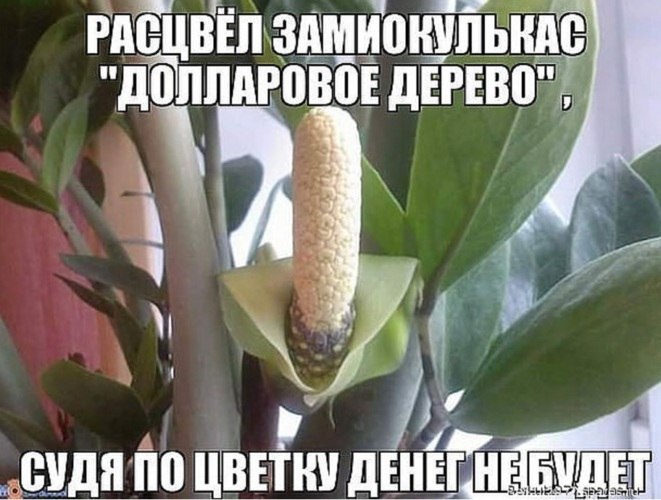 Belova - 27  2018  21:52