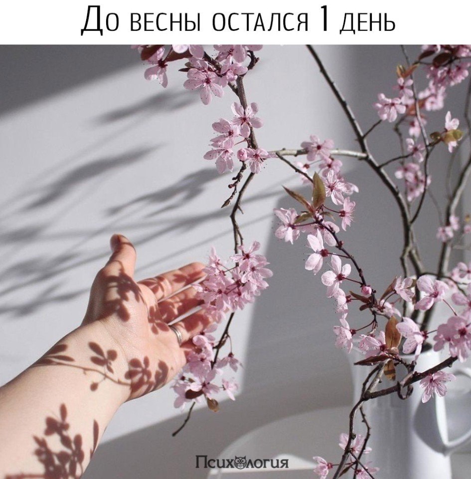  - 1  2018  06:47