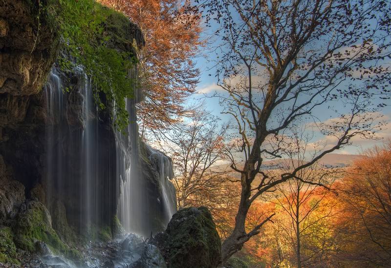 : Sergey Zlatkov.  (Shumen)### Sergey_Zlatkov