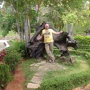 ���� ������, ��������� - ��������� 11 ������� 2019 � ������ ���� ����������