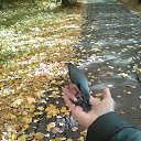 ���� �������, ���������, 60 ��� - ��������� 9 ������ 2018 � ������ ���� ����������