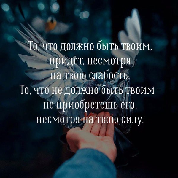   - 11  2019  23:54