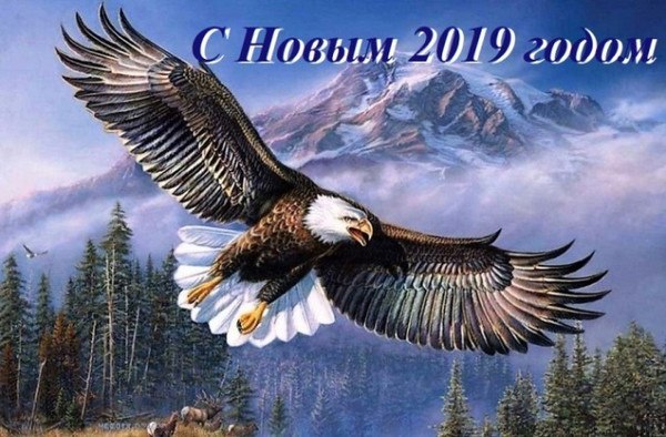   - 2  2019  05:53