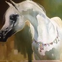 ���� Khussainart, ������, 48 ��� - ��������� 7 ������� 2018 � ������ ������ ��������