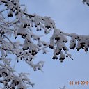 ���� ������, ������, 57 ��� - ��������� 1 ������ 2019 � ������ ���� ����������