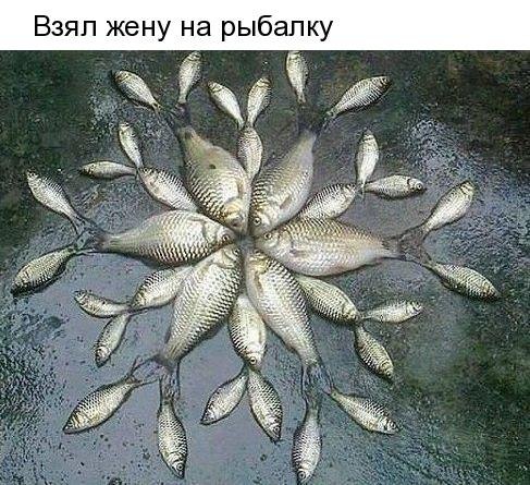   - 22  2019  16:41