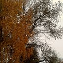  ,  -  5  2018    