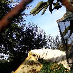 ���� ��, �������, 48 ��� - ��������� 14 ���� 2018