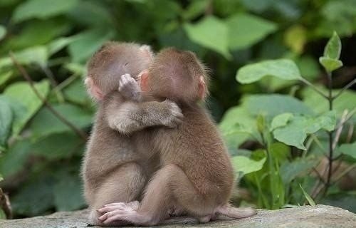 Не бойтесь лишний раз обнять близкого человека и сказать, как вы его любите. Пусть лучше будет этот ...