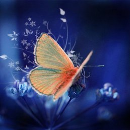 �������___________, �����������, 25 ���