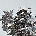 ���� ���������( �� �������), ��������� - ��������� 4 ������ 2019 � ������ �2018�