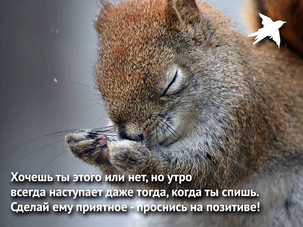 ***Victoria Viktorovna*** - 18  2019  05:56