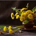 ���� Rosa, ��� - ��������� 13 ������� 2018 � ������ �****�