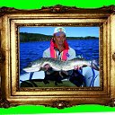  13�� �� ������� ���� ����������