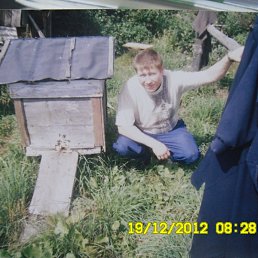 ����, �����, 50 ���