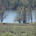 ���� ����, �����������, 50 ��� - ��������� 4 ������� 2018 � ������ ������ ���� ����� - ��������, ������� �� ������� �����