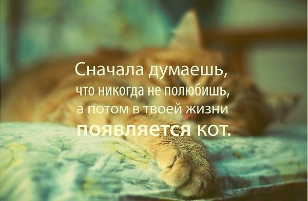  - 5  2019  16:30
