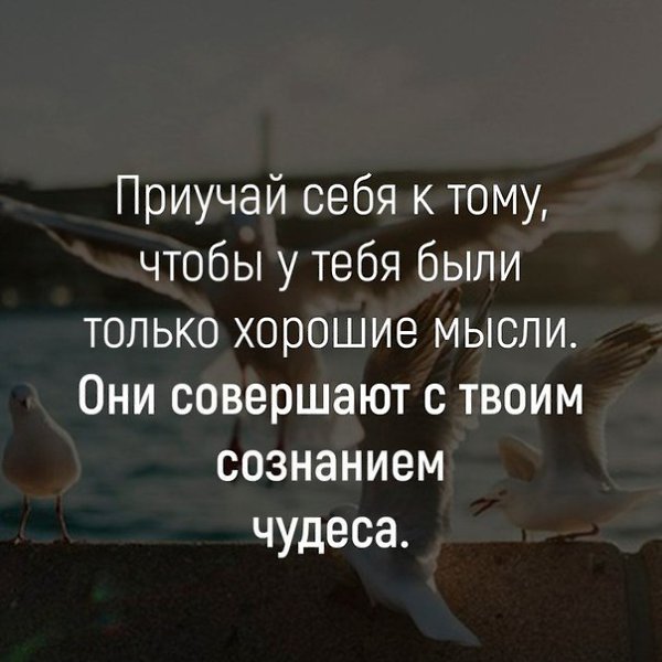 BEST | , ,  - 28  2018  16:37