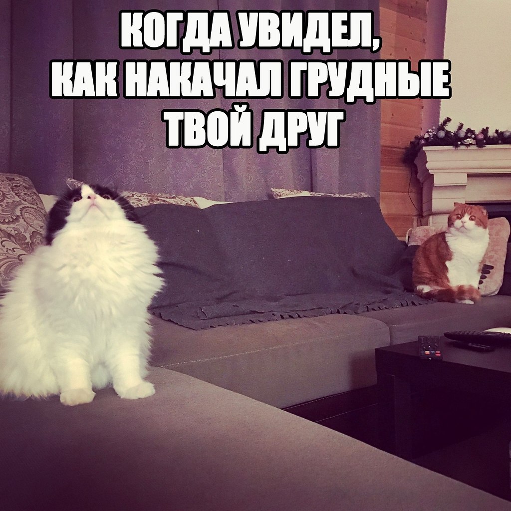 - 1  2018  16:48