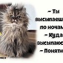 ���� �����, ���������, 58 ��� - ��������� 30 ������ 2018