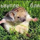 ���� ��� ����, ��������� - ��������� 10 ����� 2019 � ������ ���� ����������