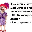  **l*ink@*, , 56  -  2  2018           ...