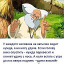���� �����, ������, 54 ���� - ��������� 9 ������� 2018 � ������ ������ ��������