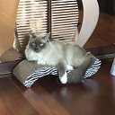 ���� ��������, ������ - ��������� 22 ���� 2018 � ������ ���� ����������