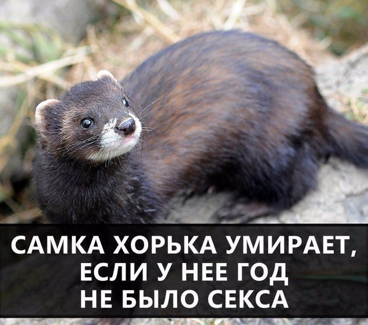  - 1  2018  17:09