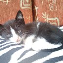 ���� ����, ������ ��������, 61 ��� - ��������� 3 ������� 2018