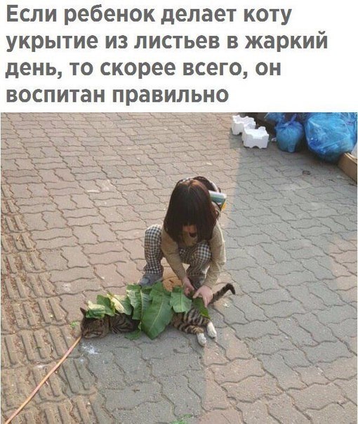    - 8  2019  17:15