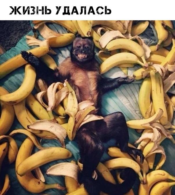  - 24  2019  16:45