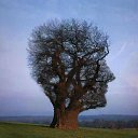  ••,  -  13  2018   - ))