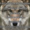 ���� �����, �����-���������, 45 ��� - ��������� 18 ������� 2018 � ������ ���� ����������