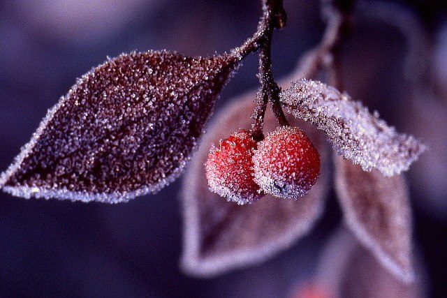 �������� �������! - 9 �������� 2018 � 12:15 - 2