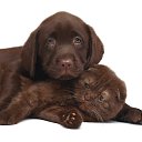 ���� ����, ������, 47 ��� - ��������� 22 ������ 2019 � ������ ���� ����������