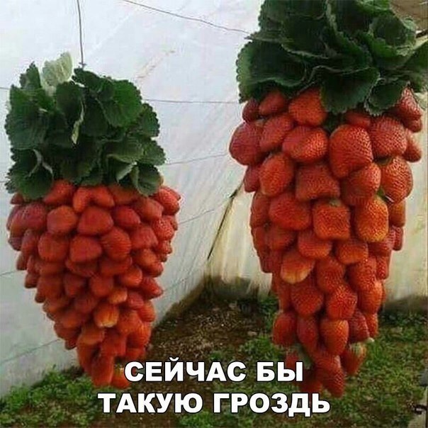   - 20  2018  17:00