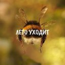 ���� ����, ����� - ��������� 21 �������� 2018 � ������ ������ ��������
