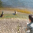  , -, 39  -  11  2018   Lugano (Switzerland)
