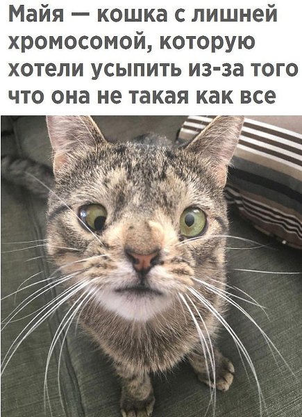  - 27  2018  16:54