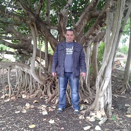 ���� �������, �����, 49 ��� - ��������� 10 ������� 2018