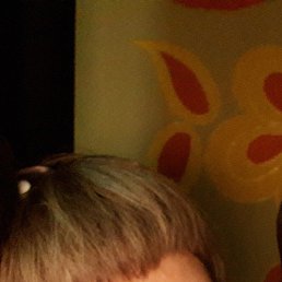 ���� ��������, ������ �����, 43 ���� - ��������� 18 ������ 2019