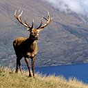  , -, 64  -  9  2019   - 