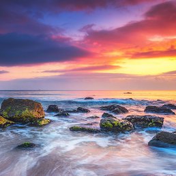 ������, ��������, 41 ���