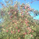 ���� Svetlana, �����-��������� - ��������� 23 ������� 2018 � ������ ���� ����������