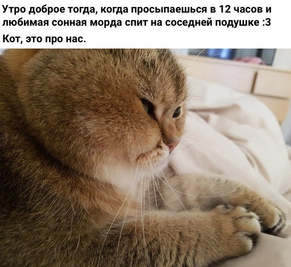    - 21  2019  17:05