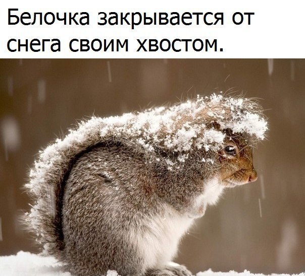 ������� - 2 ������� 2018 � 14:56